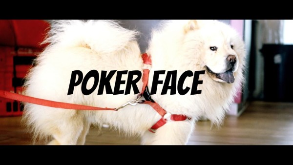 poker-face-cover